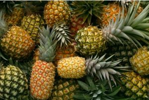 Fresh Pineapple