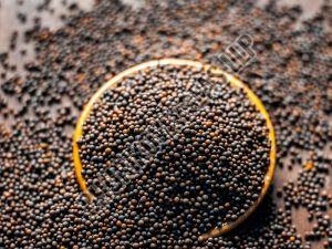 Black Mustard Seeds