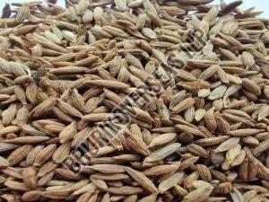 Brown Cumin Seeds