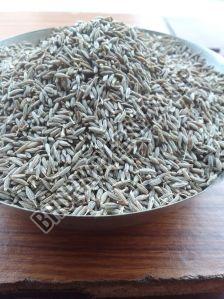 Brown Europe Quality Cumin Seeds