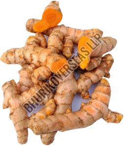 Fresh Turmeric Finger