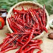 Guntur Dry Red Chilli