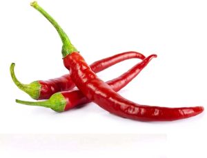 Chilli Pepper