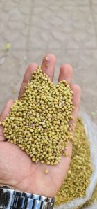 Coriander Seeds