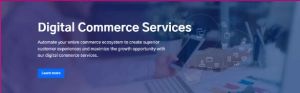 Digital Commerce