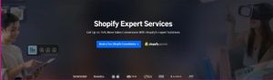 Shopify Consulting