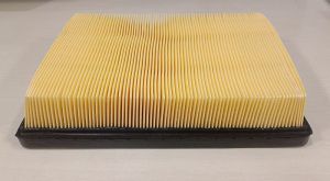 DTF-5674 Detroit Altroz Air Filter