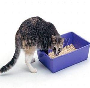 Cat Litter Bentonite Powder