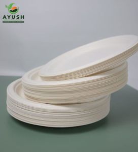 Sugarcane Bagasse Plates & Tableware