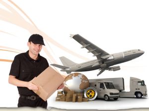 International Parcel  Delivery Services