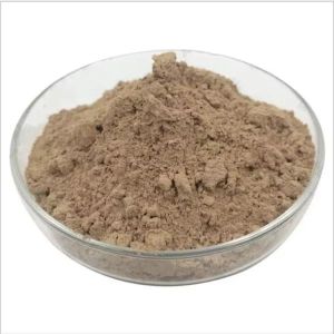 Bio Fertilizer Powder