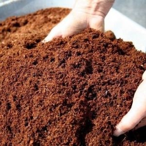 Nop Coco Peat Compost