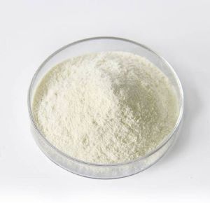 NOP Pseudomonas Fluorescens Powder