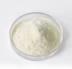 NOP Zinc Solubilizing Bacteria Powder