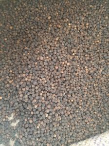 Black Pepper Seeds