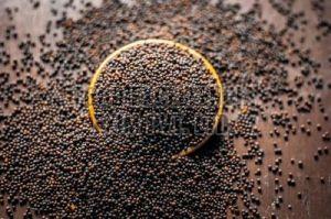 Black Mustard Seed