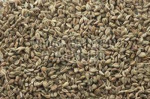 Carom Seed