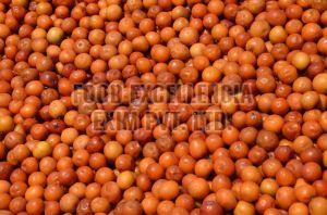 Fresh A Grade Jujube