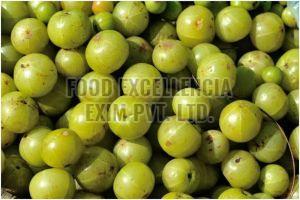 Fresh Amla