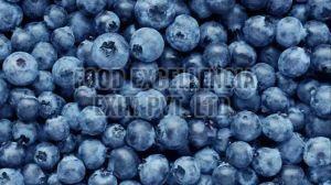 Fresh Blueberry