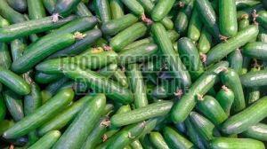 Fresh Cucumber