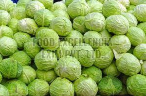 Fresh Green Cabbage