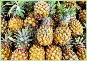 Fresh Pineapple