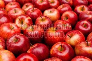 Fresh Red Apple