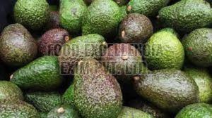 Green Fresh Avocado