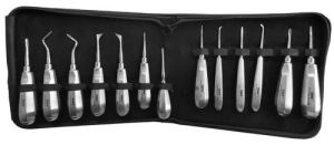 RSC Stainless Steel 10 Piece Dental Elevator Set