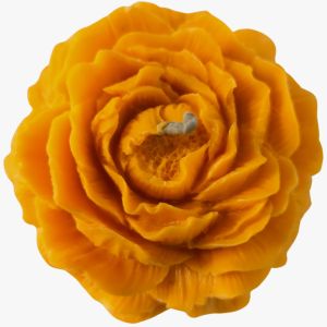 Peony Candle