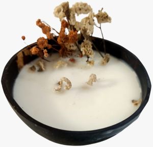 Coconut Shell Spice Candle
