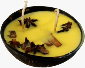 Coconut Shell Spice Candle