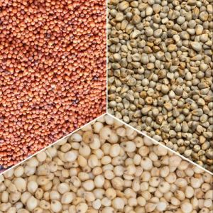 Mix Millet Seeds