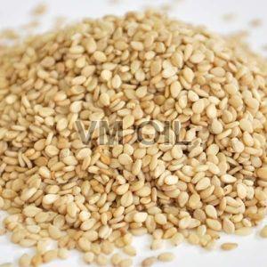 Natural Sesame Seeds