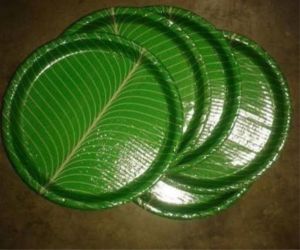 Disposable Paper Plates