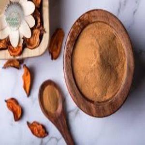 Spray Dried Tamarind Powder