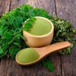Moringa Leaves Powder