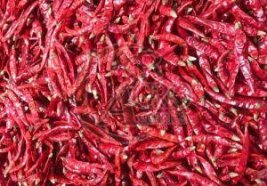 Dry Red Chilli