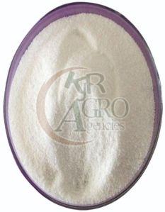 Procaine Powder