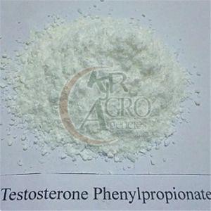 Testosterone Phenylpropionate Powder