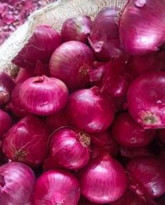 Red Onion