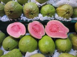 Thai Pink Guava