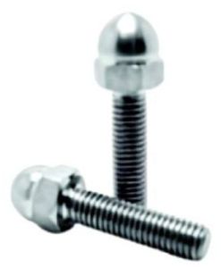 Stainless Steel Dome Bolts