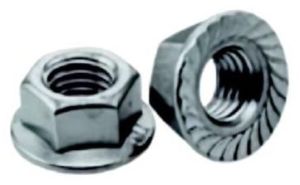 Stainless Steel Flange Nuts