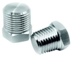 Stainless Steel Hex Plug