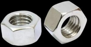 Stainless Steel Nuts
