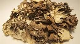 A Grade Dried Maitake Mushroom