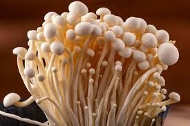 Fresh Enoki Mushroom