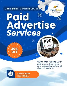 Paid Search Advertising